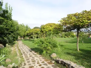 사 몰라 보나르카도
