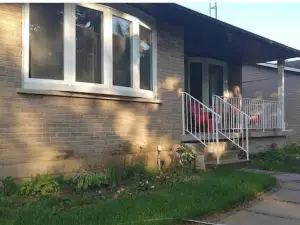 Relaxing Birdsong Bungalow