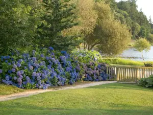 Hôtel Lancelot & Spa - Domaine du Roi Arthur