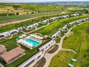 Casa Timiș - Wellness & Spa Resort