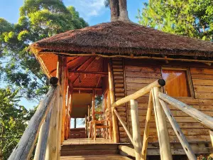 อากันดิ อูกันดา อีโคลอดจ์