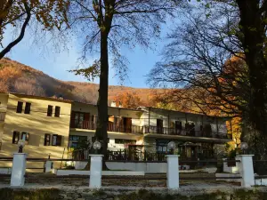 Hotel Hani Zisi
