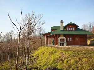 Brvnara Zlatibor Miris Dunja