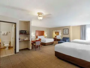 Comfort Inn & Suites Near Fallon Naval Air Station