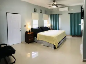 The Ansen Place