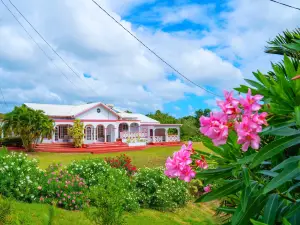 Sunny Palm Villas