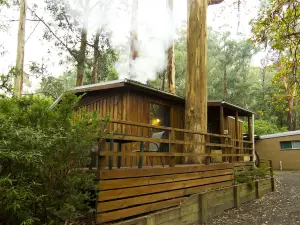 Tarra Valley Retreat