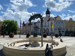 Apartament Wałowa