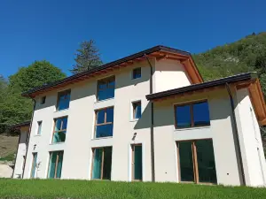 Ai Monti