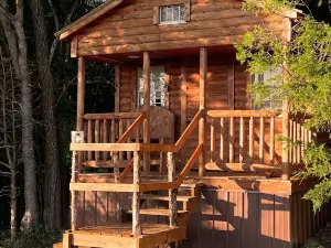 Sunset Hillside Cabin "C" on Horse Farm w/ Hiking