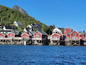 Andøy Vest Rorbuer Reine