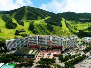 Wellihilli Park Resort