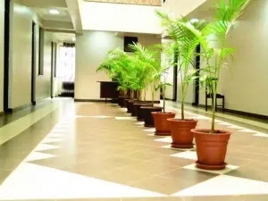 Afrique Hotel