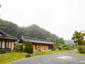 Chungju Wildflowers and Gotaengnadeuri