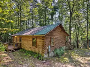 Cedar Mountain Log Cabin 4 Mi DuPont State Forest