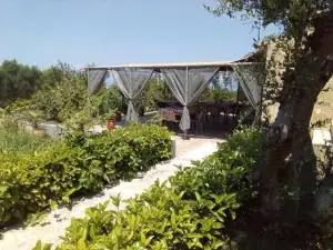 Panorama Rooms