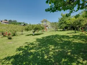 Nice Home in Popovaca with Sauna