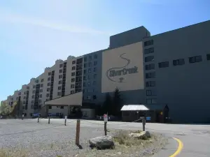 Silver Creek 2 BR Condo, No Cleaning Fees, A/C, Pool/Hot Tub