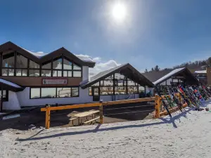 Mountain Lodge at Okemo
