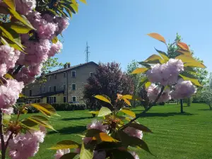 Agriturismo Il Brugnolo