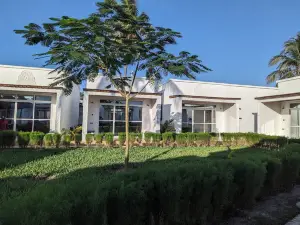 Mafia Dream hotel