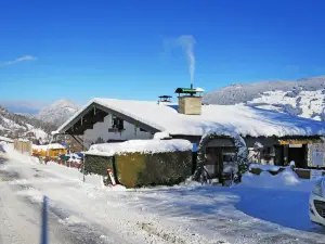 Hollwarth