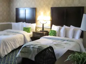 Rodeway Inn Logan International Airport