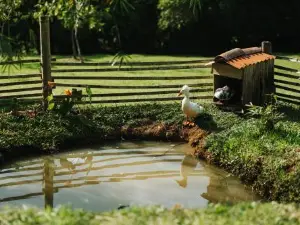 La Perla Negra - Black Pearl Eco Hostel