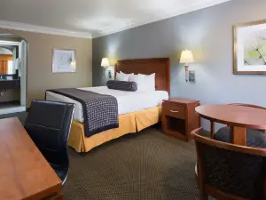 Best Western Angleton Inn