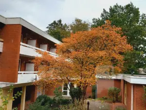 Parkhotel Keck - Castillo del Bosque