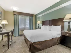 Best Western Plus Berkshire Hills Inn  Suites