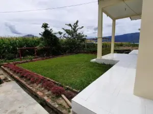 Blesshomestay Samosir
