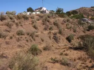 Finca la Pimienta