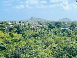 Salt ST Lucia