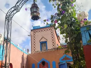 Riad Dades Birds