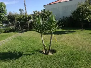 Casa do Riacho