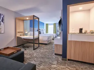SpringHill Suites Detroit Dearborn