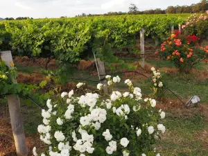 Stanthorpe Heritage Estate