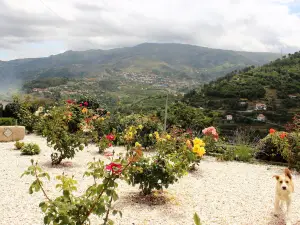 Casa Nova Agroturismo