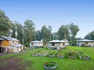Karma Kinglake