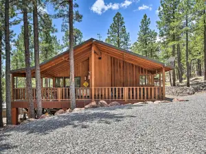 Hike, Bike and Ski, 12 Mi to Slopes Serene Cabin
