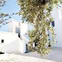 Masseria Calderisi Promo Code