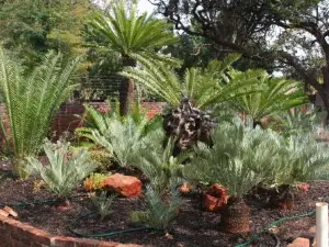 Oryx B&B Reserved Guests Only