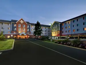 Homewood Suites by Hilton Southington