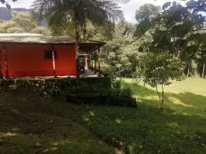 Nuestro Bosque I