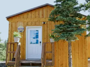 อาร์กติก ดรากอนฟลาย อินน์