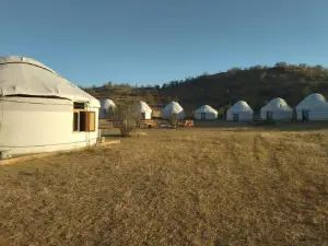 Authentic Uzbek Yurt Camp Eco-Friendly