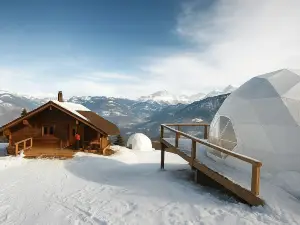 Camp the Sanga Manali