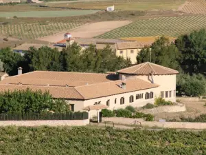 Hotel Enoturismo Mainetes