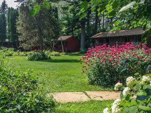 Silver Spruce Resort